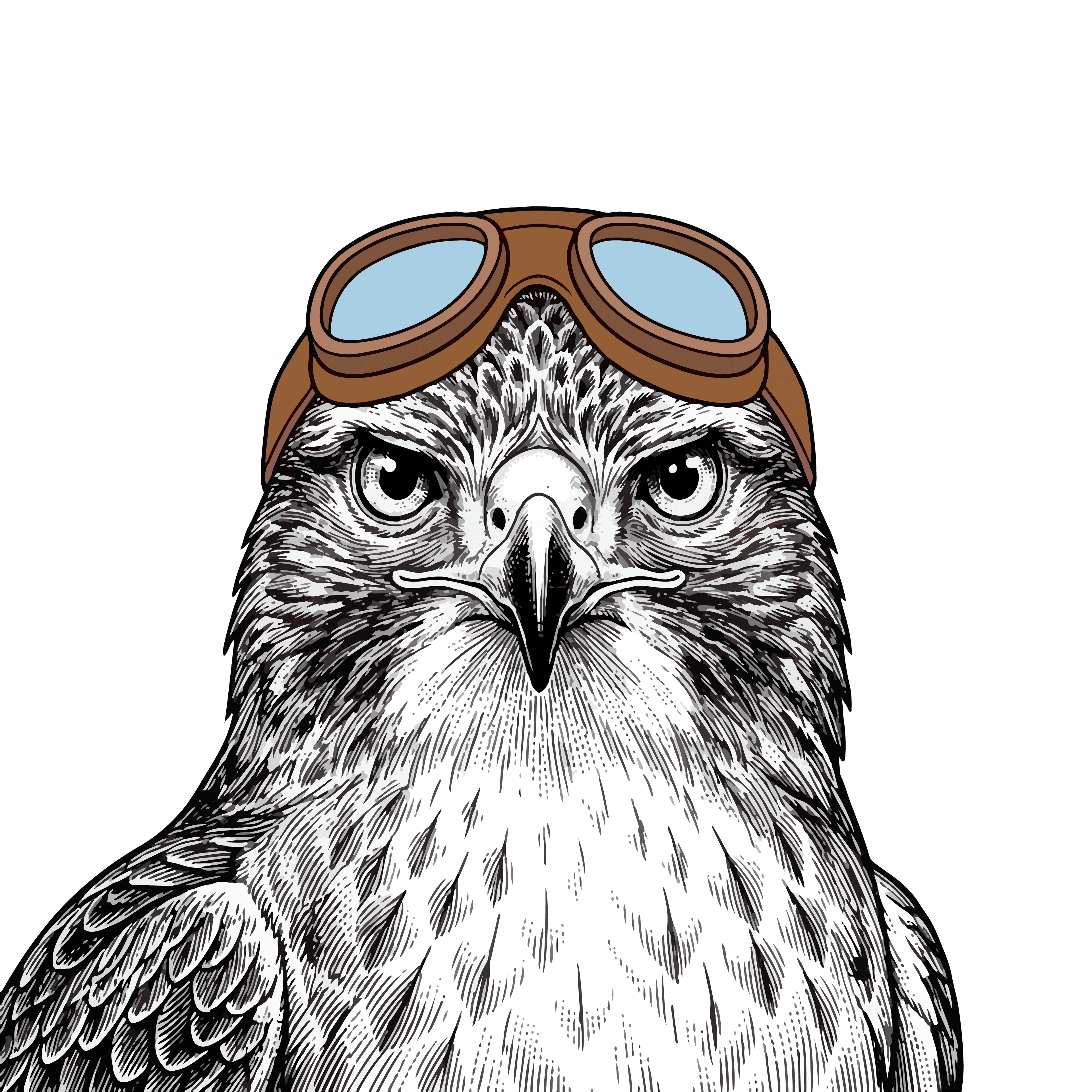 Hawk wearing aviator goggles