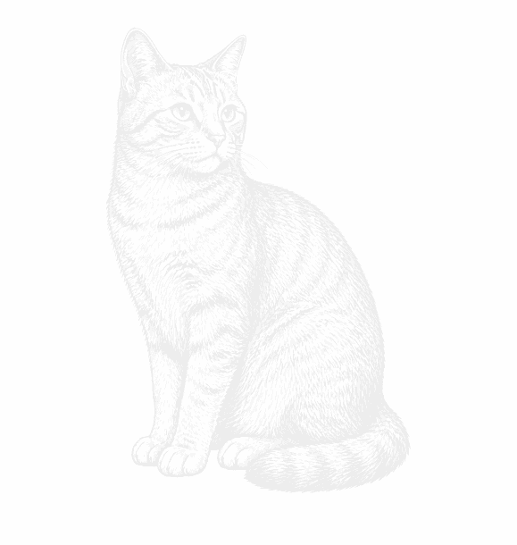 Cat illustration
