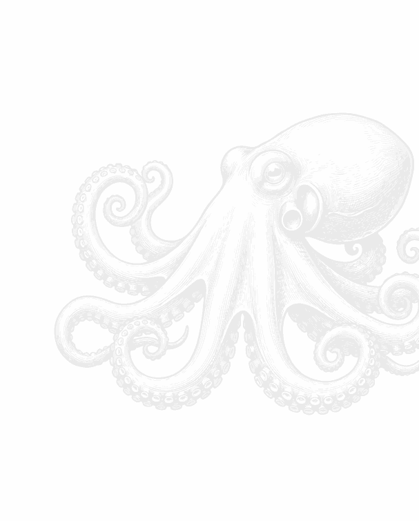 Pencil sketch of an octopus