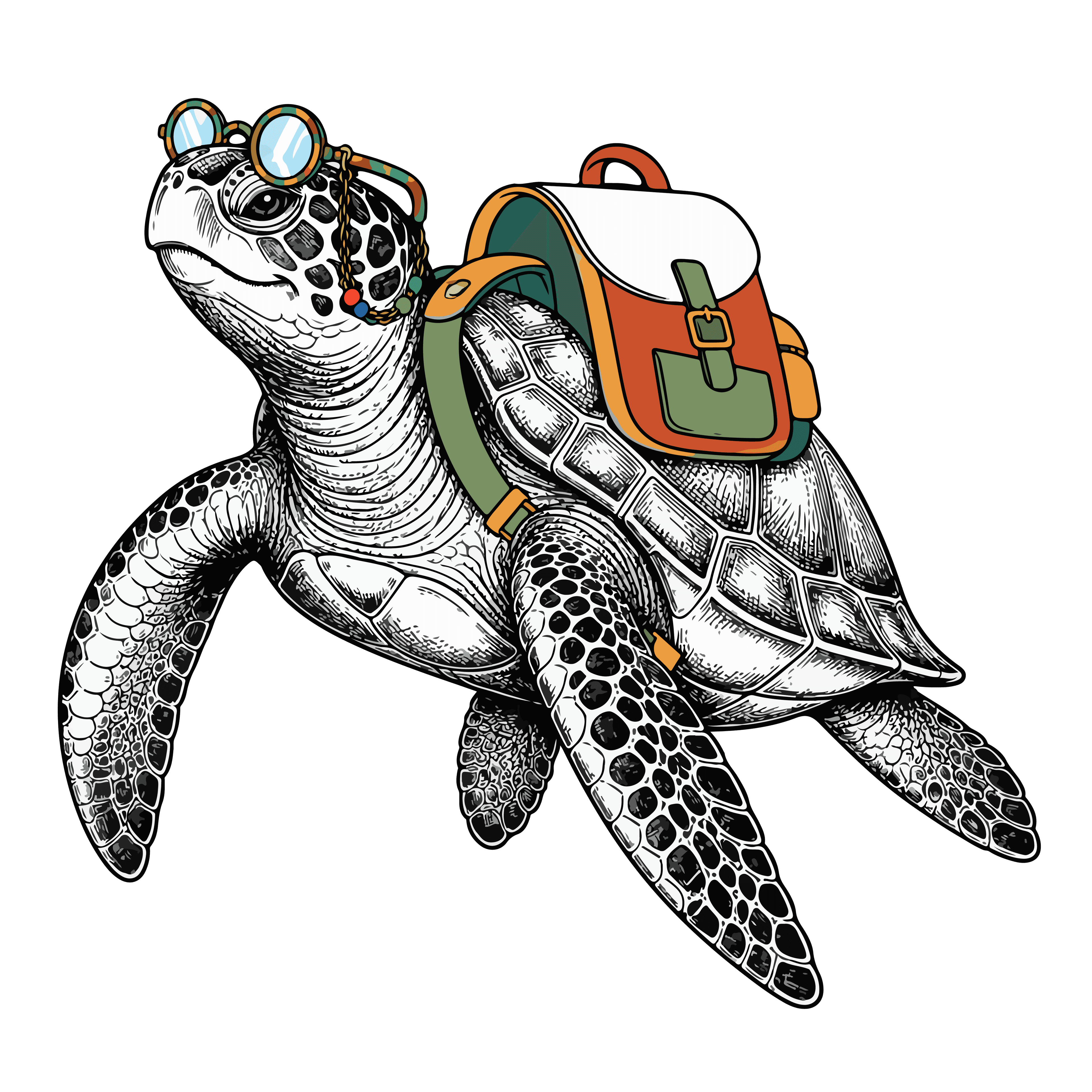 Historian Turtle with backpack and spectacles
