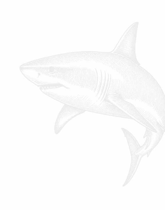 Shark